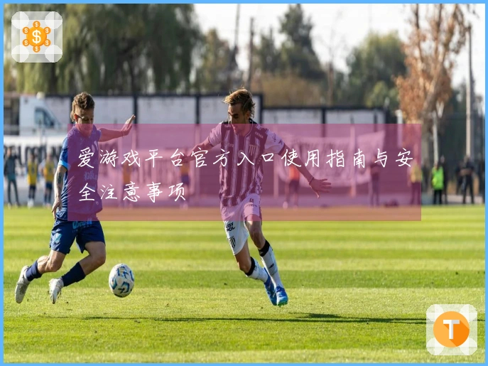 爱游戏平台官方入口使用指南与安全注意事项